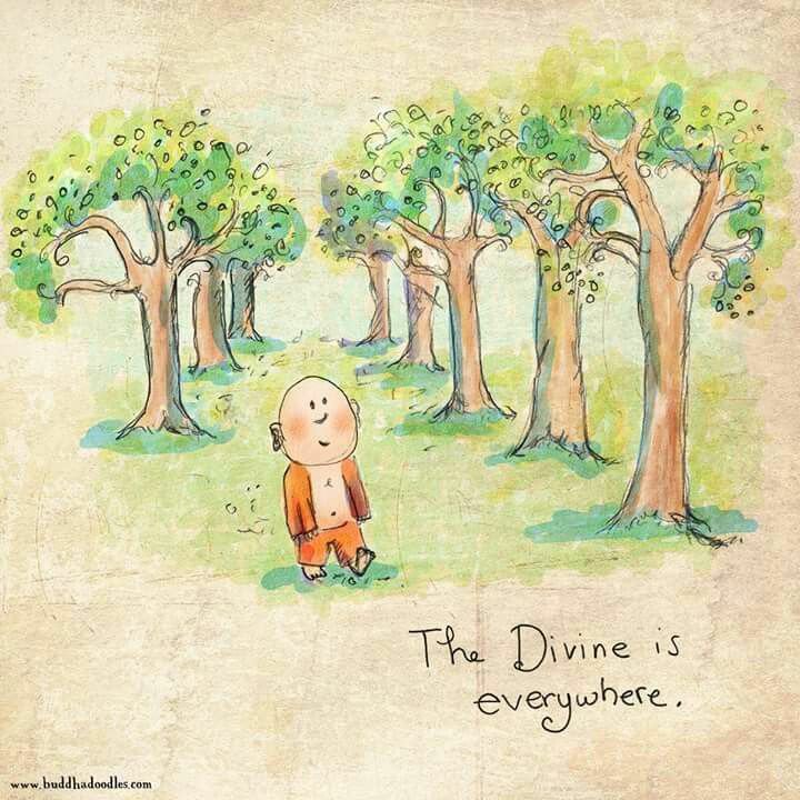 Viivek Mashru (@viivekmashru) on Twitter photo 