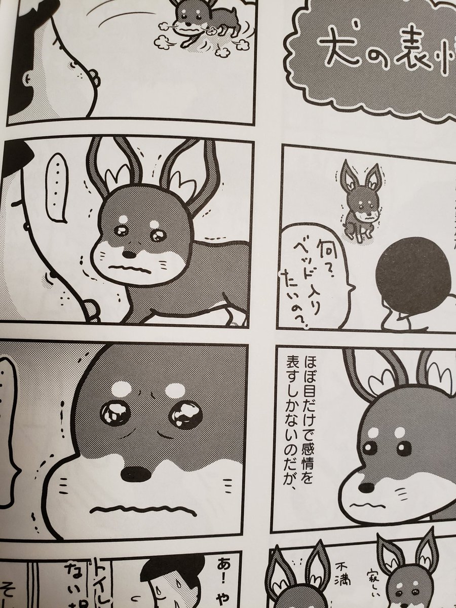 小田原ドラゴン Odawaradoragon さんの漫画 56作目 ツイコミ 仮 小田原ドラゴン Odawaradoragon さんの漫画 56作目 ツイコミ 仮
