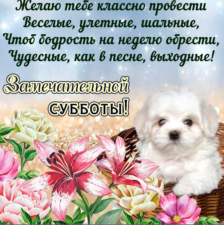 Открытка замечательной субботы, старинная