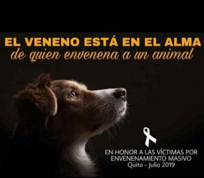 munecamarce's tweet photo. 😢 https://t.co/VEaKApp4me
