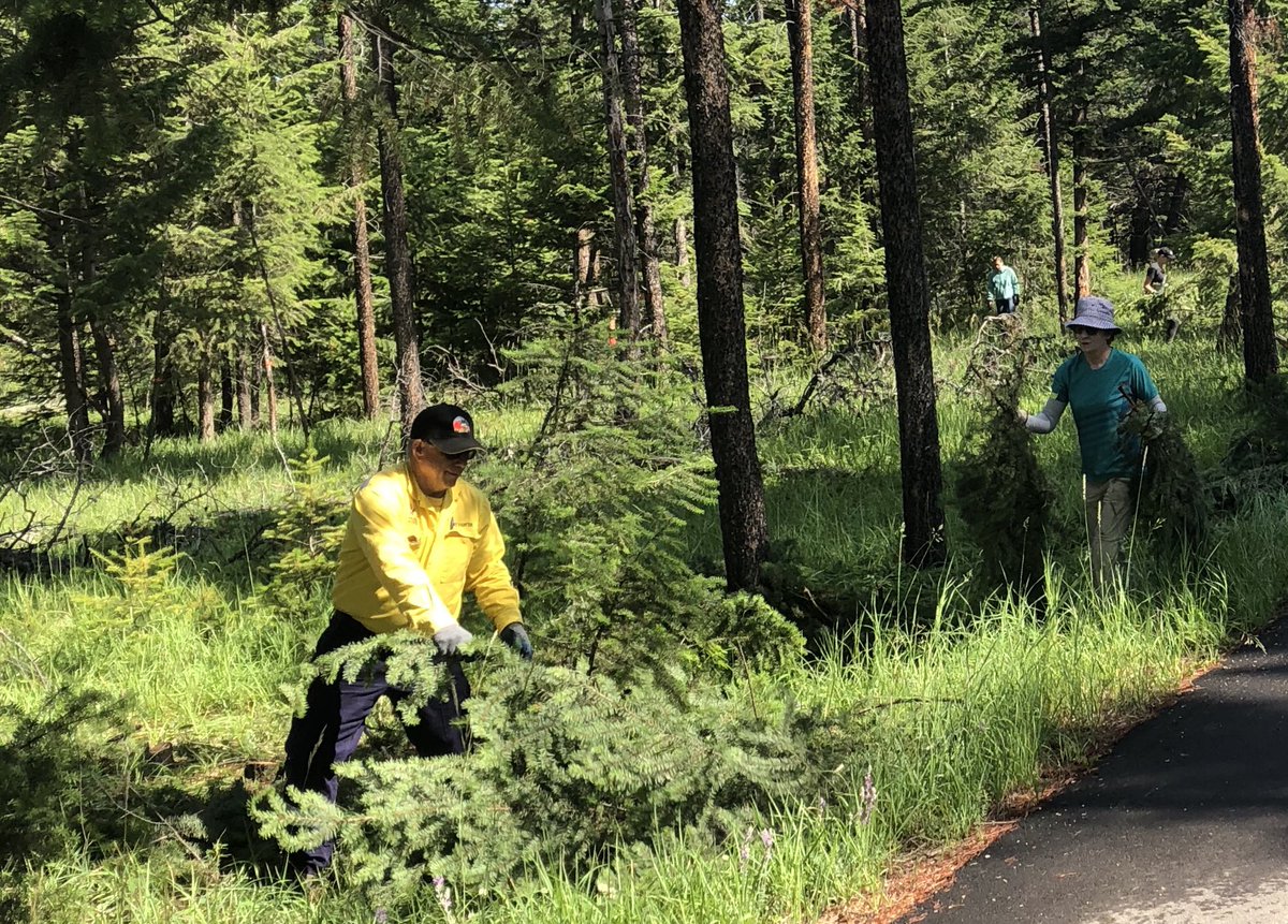 Greg Van Tighem tweet media