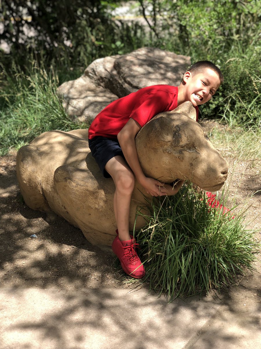 | TeamGift | Zoo19’