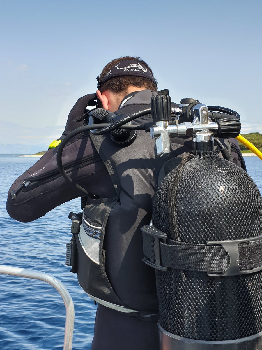HAEC_Croatia's tweet photo. The professional getting ready to dive https://t.co/4mLB5I0F8P