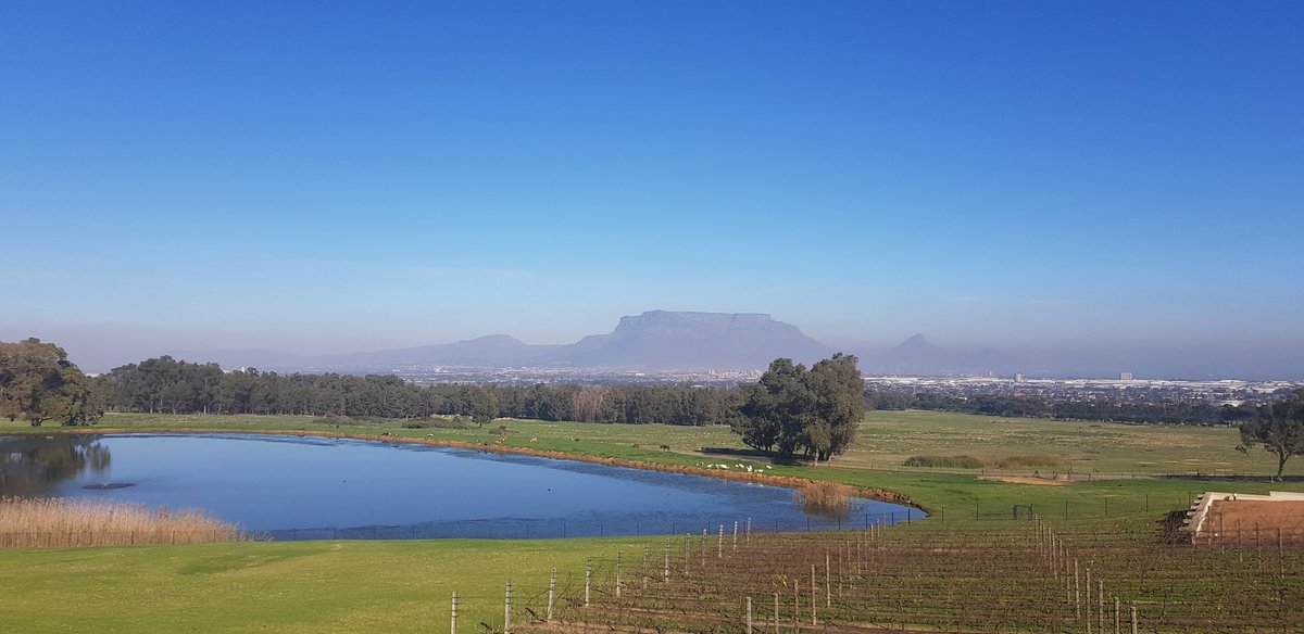 Supershazzer's tweet photo. Staying on after the trail run at @degrendelwines
What a classy place and beautiful setting. Cape Town showing off today.
#capetown #explorethecape #capetownwinefarms #degrendal #capetowntourism #capetownblogger https://t.co/uBUwnzgMuu