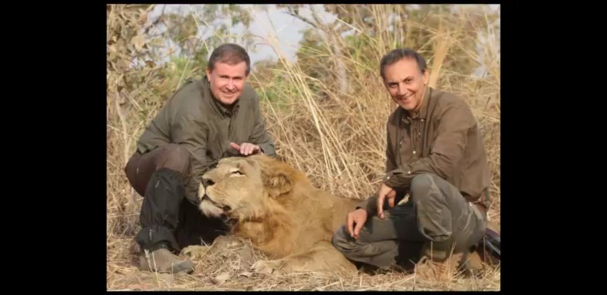 tigrenlion's tweet photo. Photos inédites du couple #SuperU à la chasse au lion sauvage au Cameroun en 2014.
Ce n'est pas de la #ChasseEnBoite !!!
#BanTrophyHunting #TraduisonsLes #UnClicPourUnSafari #SnuffTourism https://t.co/2Ih0oX2OaY
