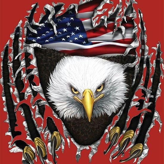 BFeatherArchery's tweet photo. I pledge allegiance to the 🇺🇸 flag, Of the united states of America, And to the republic, For which it stands, One nation, Under God, Indivisible, With 🗽 liberty and justice for all, https://t.co/PrISnqQ53t