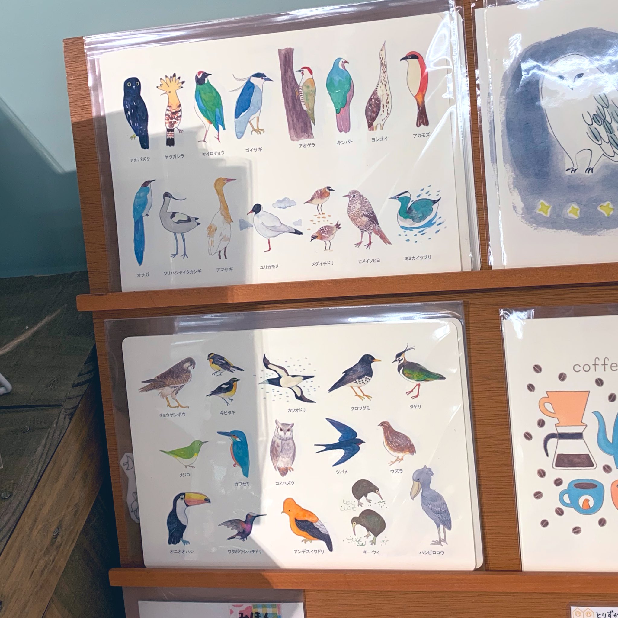 文具と雑貨の店 トナリノ 東急ハンズ新宿店 Hands Shinjuku 8階にて8 15 木 まで ナツブン トナリノ オリジナル文具のご紹介 野鳥のイラストをモチーフにした とりずかん シリーズよりハシビロコウなど人気の鳥5羽のシールセット 野鳥2種類ミニ