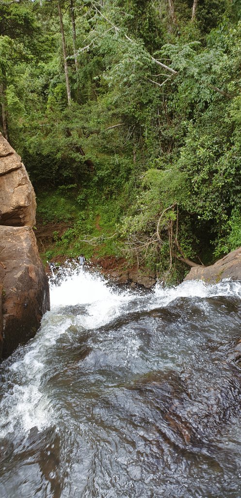 Back to Kessup Forest. Had to share some more because it was pure magic.