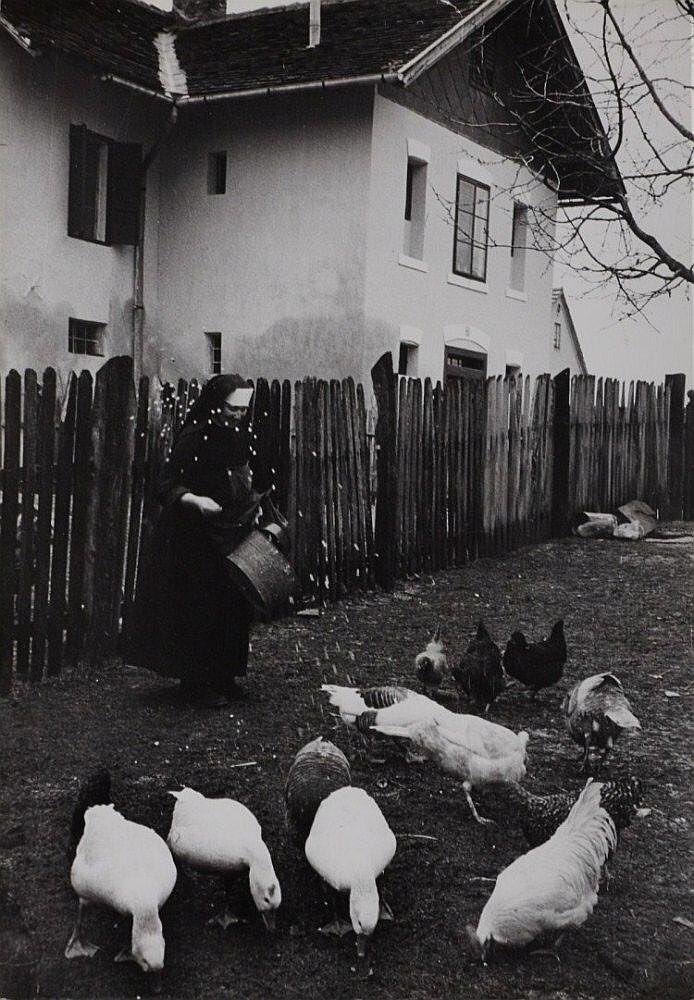 fotograftabugun's tweet photo. 1923 - #MagnumPhotos üyesi Avusturyalı fotoğrafçı #ErichLessing Viyana'da doğdu. #FotograftaBugün #todayinphotography #inthisday #13Temmuz #July13 #otd https://t.co/eG17DHLOJd