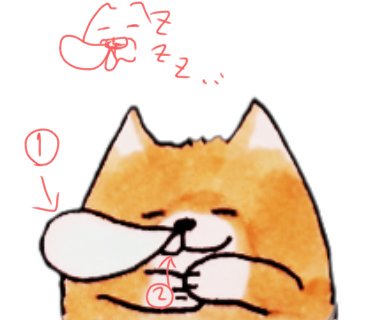 はなちょうちん