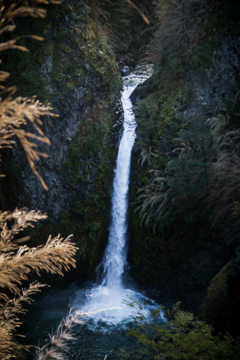 Cascada del Río Bonito 📷 #VillaLaAngostura
⠀⠀⠀⠀⠀⠀⠀⠀⠀
#LVDVenPatagonia 🗻 
#Postales de #invierno
⠀⠀⠀⠀⠀⠀⠀⠀⠀
#DescubriVLA #Neuquen #neuquenestudestino #visitArgentina #viviArgentina #lavidadeviaje #Patagonia