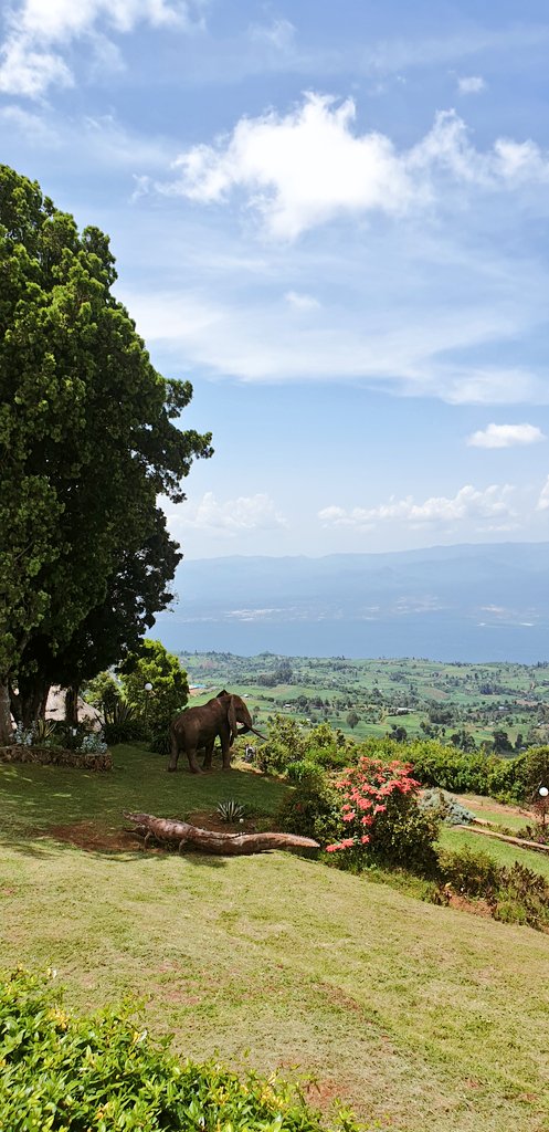 We then headed to Kerio View which has amazing views but mainly because that's the paragliding (and headstand spot )