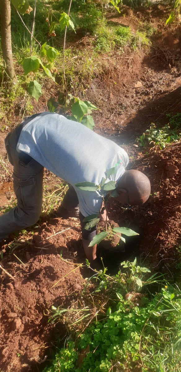 And then we stopped by the upcoming Champions Corner or Heroes Corner (a public park), bought some tree seedlings and planted. We are cool like that. Be the same. That last one is mine.