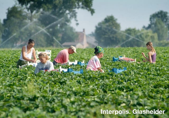 Interpolis's tweet photo. Bied je als agrarisch ondernemer onderdak aan seizoenarbeiders? Interpolis denkt graag mee over (brand)veilig onderdak voor al jouw harde werkers. Lees onze tips https://t.co/MevWnzls79 #agro 3akkerbouw #vollegrond https://t.co/ctRgdJN83Z