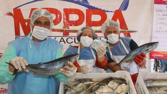 Como parte del Plan Nacional de Pesca y Acuicultura <a href="/MinPesca/">MinPesca</a> trabaja para optimizar la actividad pesquera y acuícola a través de financiamientos en cuanto a insumos que permiten garantizar el aprovechamiento sustentable de los recursos.

#JuntosPorLaPaz #YoSoyPuebloPescador