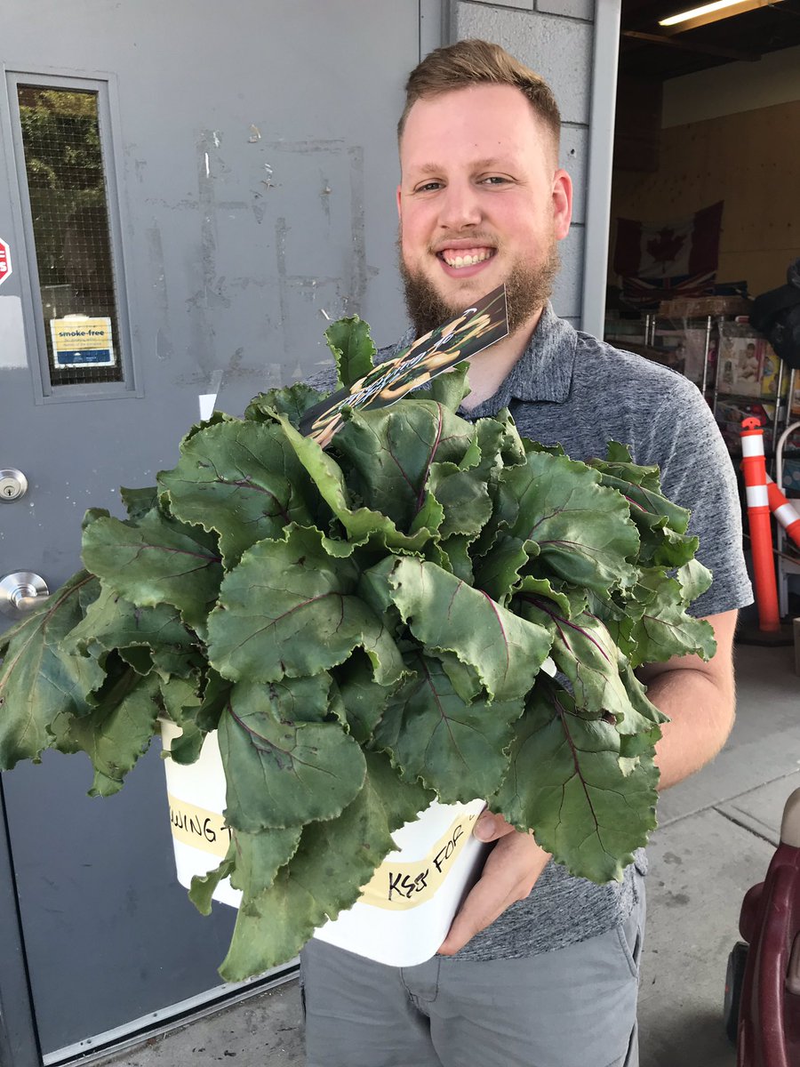 growingtogive's tweet photo. Clylindra beets and their highly nutritious greens were #growingtogive and gifted this week to @COFoodBank and @salvationarmy in #Kelowna #BritishColumbia #foodsecurity #communitymatters #farmingforfoodbanks #givingattitudes #growingbeets #gratitude #nutrition https://t.co/sKgeUkEErm