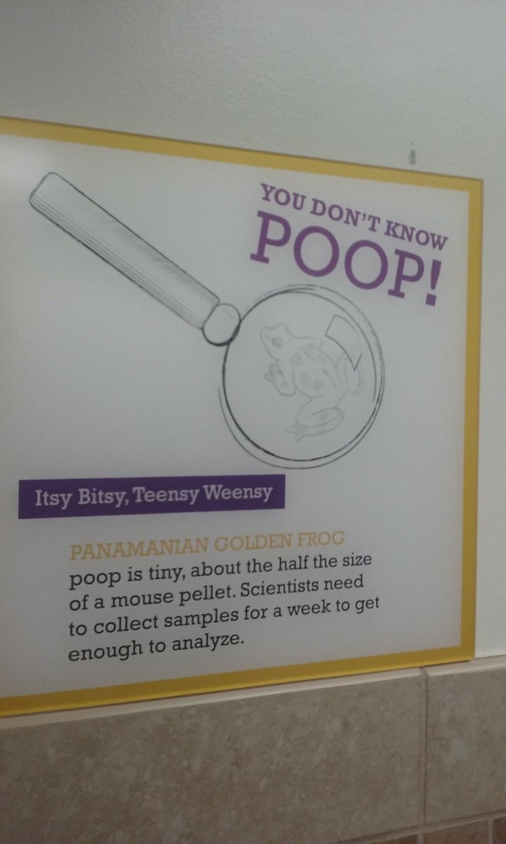 SciCoachOv's tweet photo. #ISpyScience @NationalZooDC in the bathroom. https://t.co/ACV2ZPpTsV