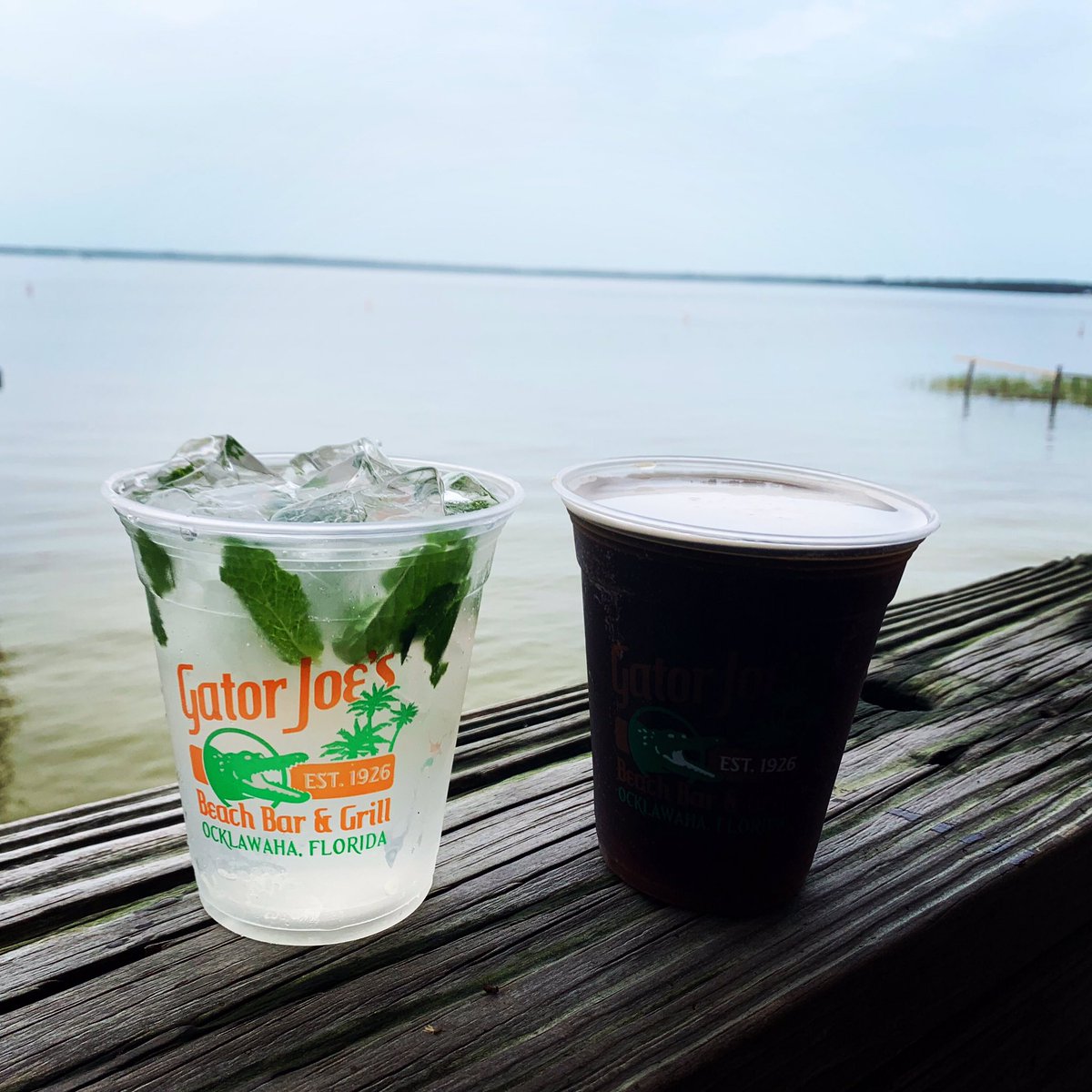 GatorJoes's tweet photo. Today’s drink specials are Mango Mojito’s for 6$ and Cream and Sugar on draft for 3$. Macey Mac will be here from 4-8 today. Then late night happy hour runs from 8-10, 2-4-1 on Domestic Drafts, Single Wells, and House Wine!! https://t.co/79nvr23z3d