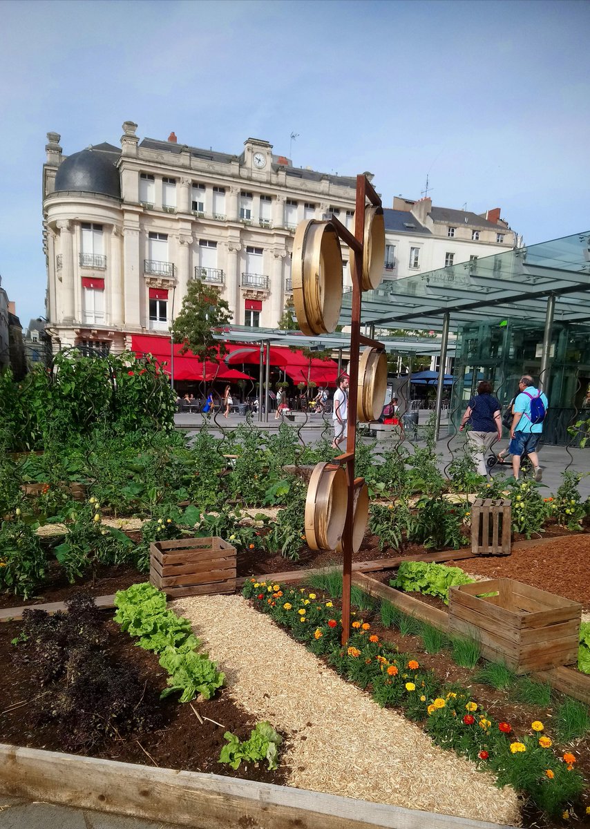 BeatriceVericel's tweet photo. Quand les plantes s'invitent place du Ralliement à Angers... 🌄 🌼 🌿 Cela fait du bien ! #Angers https://t.co/0qQivUf9KF