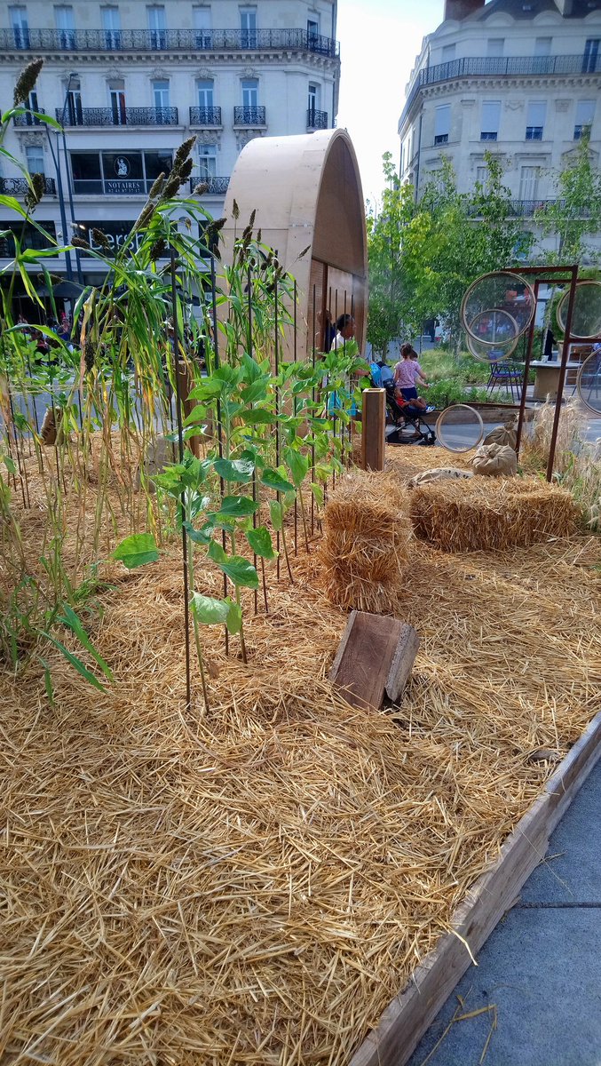 BeatriceVericel's tweet photo. Quand les plantes s'invitent place du Ralliement à Angers... 🌄 🌼 🌿 Cela fait du bien ! #Angers https://t.co/0qQivUf9KF