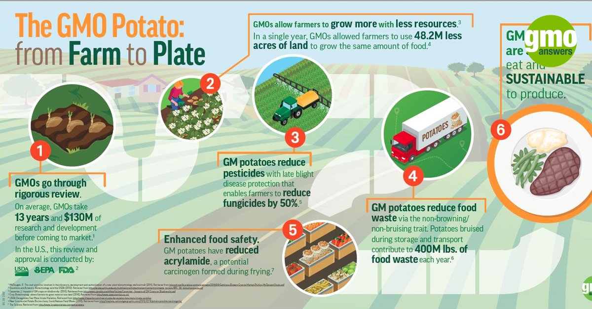 GMOAnswers's tweet photo. It’s National French Fry Day! Find out how GMO potatoes are a safe, sustainable source for America’s favorite side dish. Steak fries, crinkle cut, waffle fries, shoestring, curly… how do you like your fries? https://t.co/nigCAa7Bma