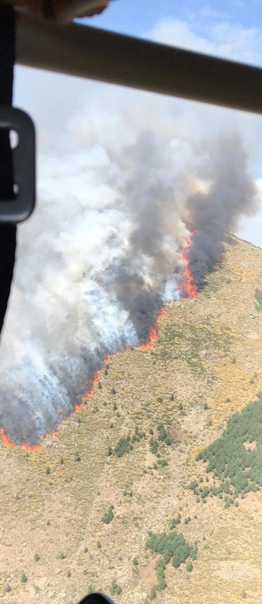 AT_Brif's tweet photo. 16:30 Más📷 de la llegada de @brifpuertopico al incendio forestal de Sotillo de la Adrada #Ávila
#IIFF #BRIF
@brif_iglesuela en vuelo al incendio para sumarse a labores de extinción
#IFSotilloDeLaAdrada https://t.co/OJurbGft4U