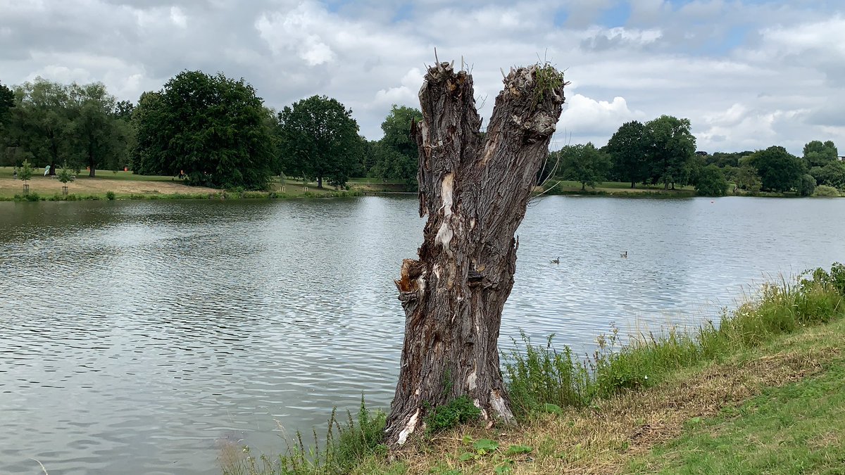NemethStarPro's tweet photo. #RightNow - Münster: Aaseestadt (sea side) - Part 2

#Münster #photography #photographerlife #Muenster #Vero #PlatzderweißenRose #Germany #storytelling #City #Spiegelturm #Aasee #shortfilm #Tours #Love #NRW #Deutschland #sightseeing #Clemenskirche #DOM #StLamberti #Stierkopfhof https://t.co/aawfRoP0kS