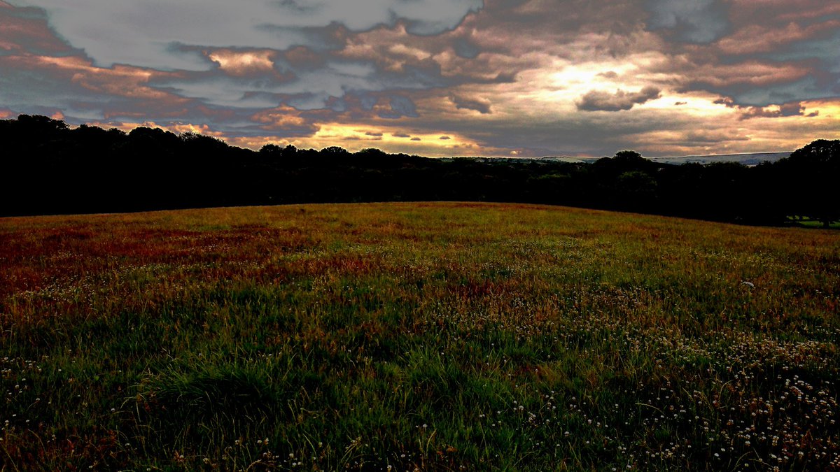 Northern Light 2020 - Sheffield Hallam University 6 - 7 July - conference + exhibition