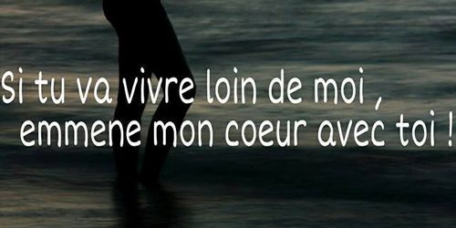 Tiphaine tweet media