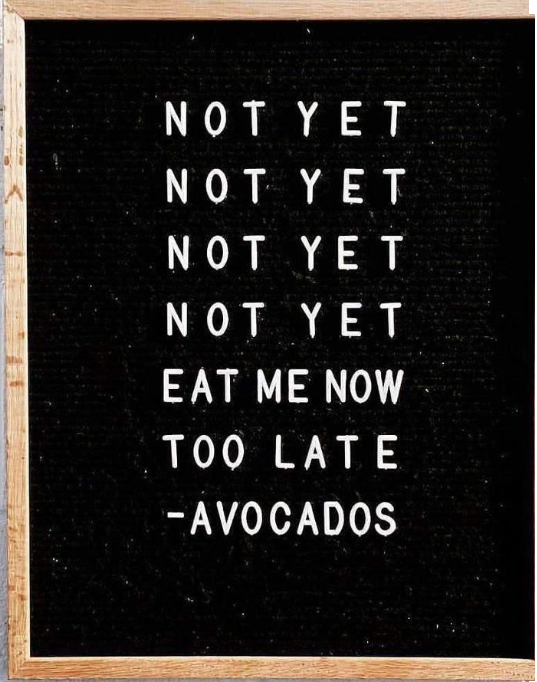 linknutrition's tweet photo. Does this happen to everyone else too?! #avoproblems https://t.co/DxNchcmI03