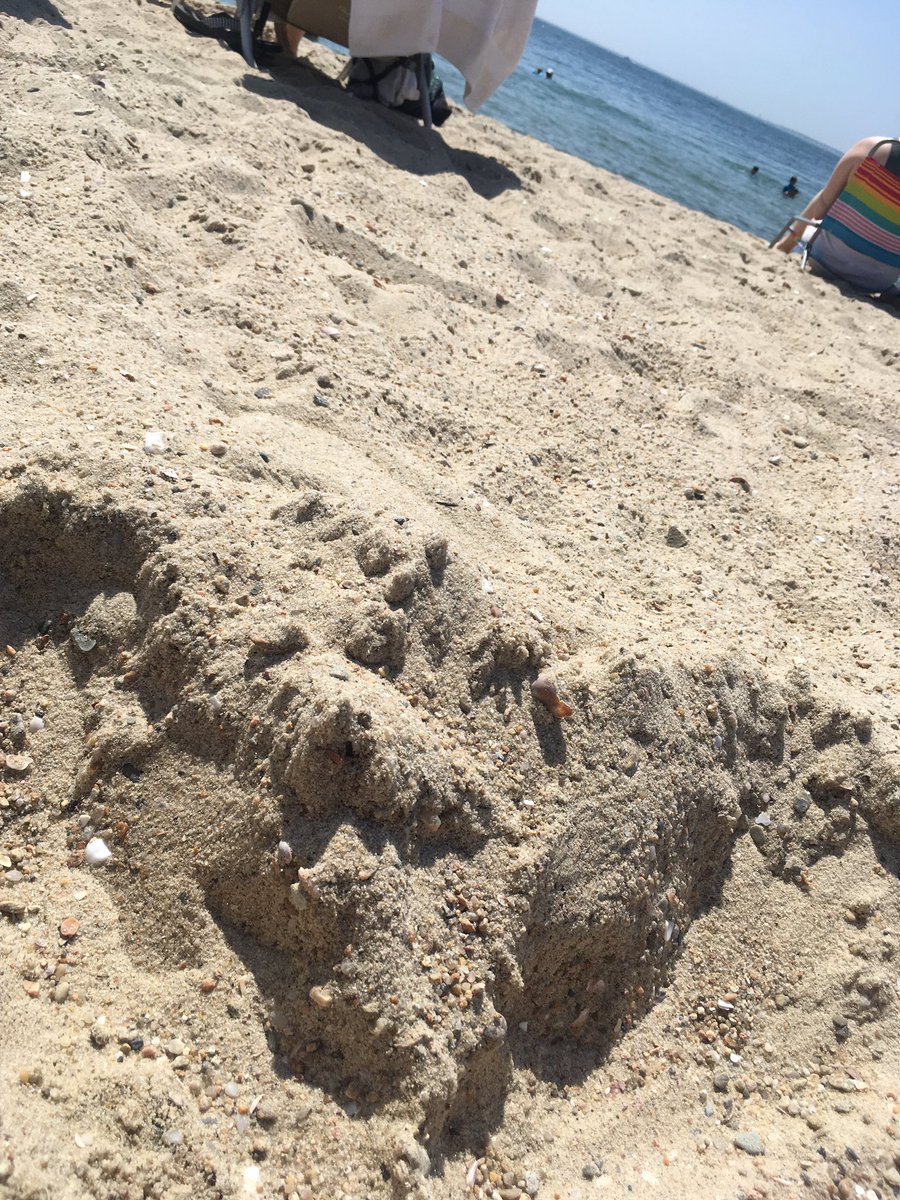 thyniceguy's tweet photo. Seven days of beach, you beach. #CapeCod https://t.co/vUXIVDuqYv