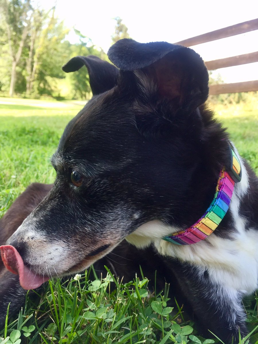 👑🌈 Baroness of the ‘Bow Dowager Dame Annie🌈👑 tweet media