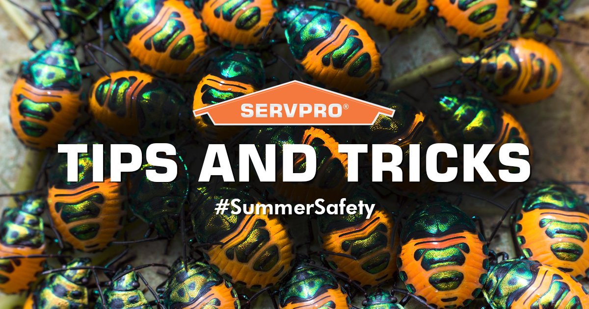 Tired of finding unwanted friends in your home? Be sure to check out our "4 Tips for Keeping Bugs Out of Your Home This Summer" blog post on our website servprobaldwincounty.com/blog