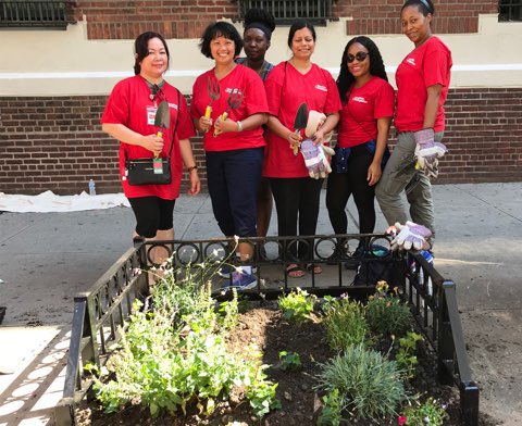 AllenHospital (@allinattheallen) on Twitter photo <a href="/nyphospital/">NewYork-Presbyterian</a> <a href="/mily403/">Mildaly</a> @HeadRNColumbia <a href="/CPBalsam/">Courtney P. Balsam</a> <a href="/Beekurn/">Bertha Ku</a> #volunteering #awesome2FE beautifying the Heights together. Thank you! #proud #UCmoment <a href="/JihanYaa_RN/">Jihan Asante</a> @LeonGeorge12 <a href="/c1539/">Coretta</a> <a href="/kelly_maydon/">kelly maydon</a> <a href="/nyphospital/">NewYork-Presbyterian</a> <a href="/mily403/">Mildaly</a> @HeadRNColumbia <a href="/CPBalsam/">Courtney P. Balsam</a> <a href="/Beekurn/">Bertha Ku</a> #volunteering #awesome2FE beautifying the Heights together. Thank you! #proud #UCmoment <a href="/JihanYaa_RN/">Jihan Asante</a> @LeonGeorge12 <a href="/c1539/">Coretta</a> <a href="/kelly_maydon/">kelly maydon</a>