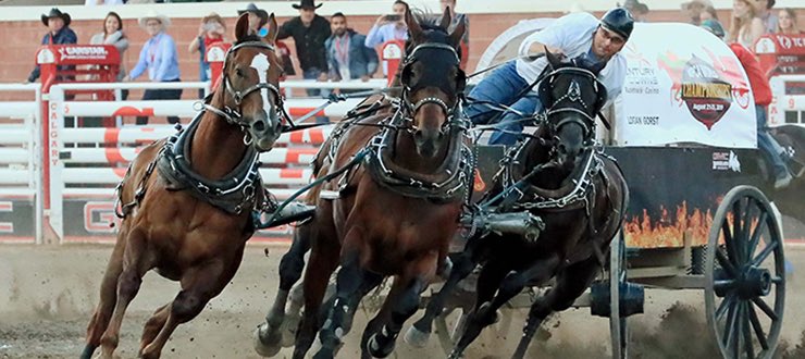 marysedaze's tweet photo. HELL YEAH @LoganChuckwagon 👏Congratulations on being the 2019 Richard Cosgrave Memorial Award WINNER!! #welldeserved #aggregatechampion #CalgaryStampede #CSChucks https://t.co/xy3qEKovE3