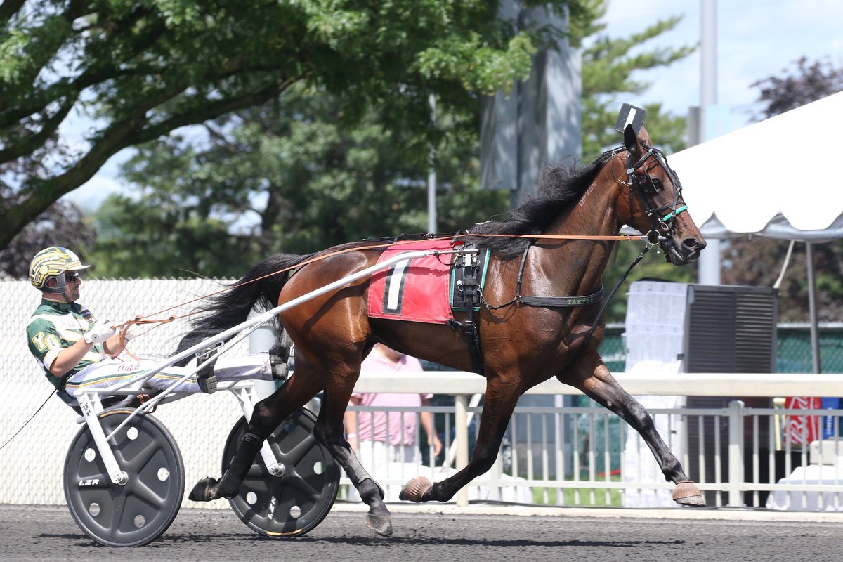 USTrotting's tweet photo. #BeautifulSin was one of the top freshman fillies in 2018, but a paddock accident not only threatened her career, but her life. Read about her recovery and return. @KFrnch @HoganEquine https://t.co/SX76HOFkwj #HarnessRacing #ReadHB #AHoofAbove
Mark Hall Photo https://t.co/aUmrQ8Ul7W