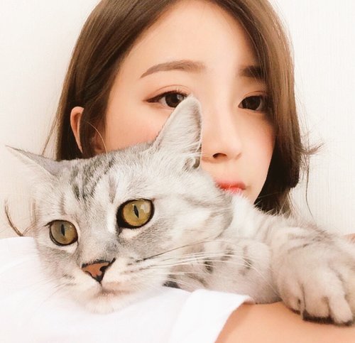 SugaSofty's tweet photo. ❝𝓘𝓷 𝓵𝓸𝓿𝓮 𝓽𝓸 𝓪𝓷𝓲𝓶𝓪𝓵𝓼 𝓦𝓮 𝓮𝓿𝓸𝓵𝓿𝓮,

   𝔼𝕦𝕟𝕤𝕠𝕠

        »Veternarian AU
        »(N)swf 18+
        »Pansexual
        »Sub

                𝓕𝓻𝓸𝓶 𝓢𝓮𝓵𝓯𝓲𝓼𝓱 𝓽𝓸 𝓢𝓮𝓵𝓯𝓵𝓮𝓼𝓼.❞

↻ mutual ♡ dm https://t.co/dMjW1ibbDz