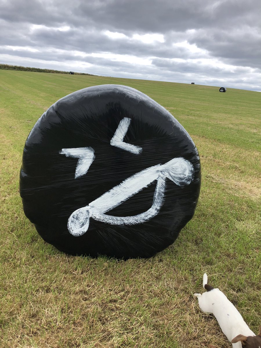 When you’re in charge of bale painting this year #farmlife #funtimes