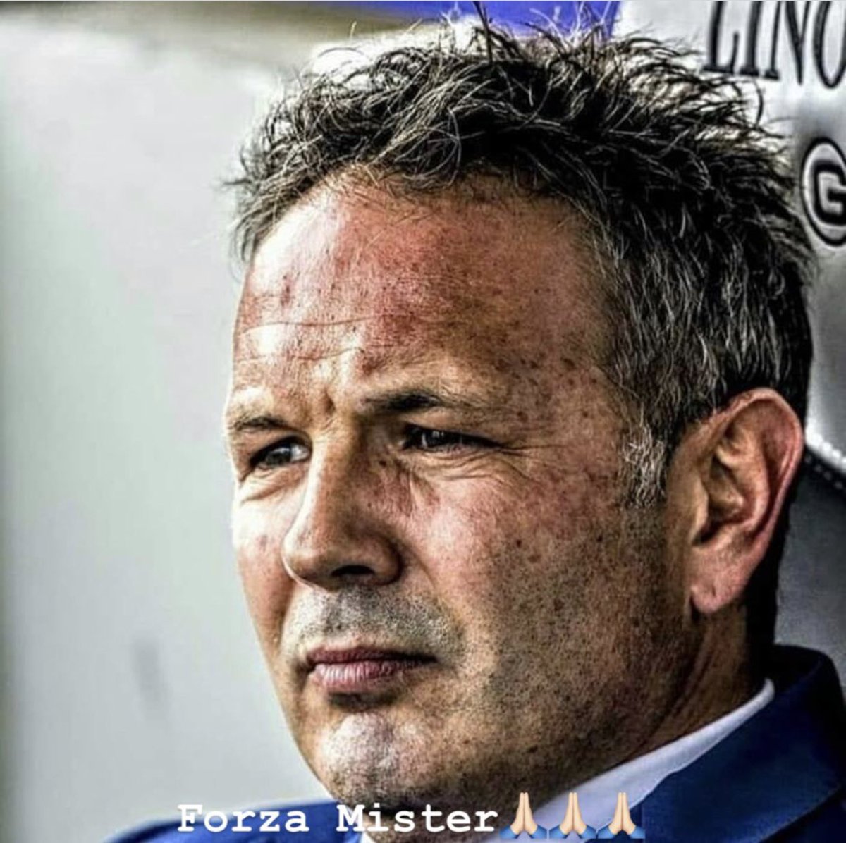 Miralem Sulejmani (@miralems) on Twitter photo 