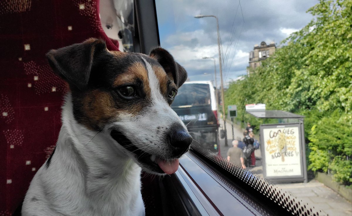 VinnyShek's tweet photo. En route to somewhere pawsome with @on_lothianbuses 🐶 https://t.co/DasHMliA7c