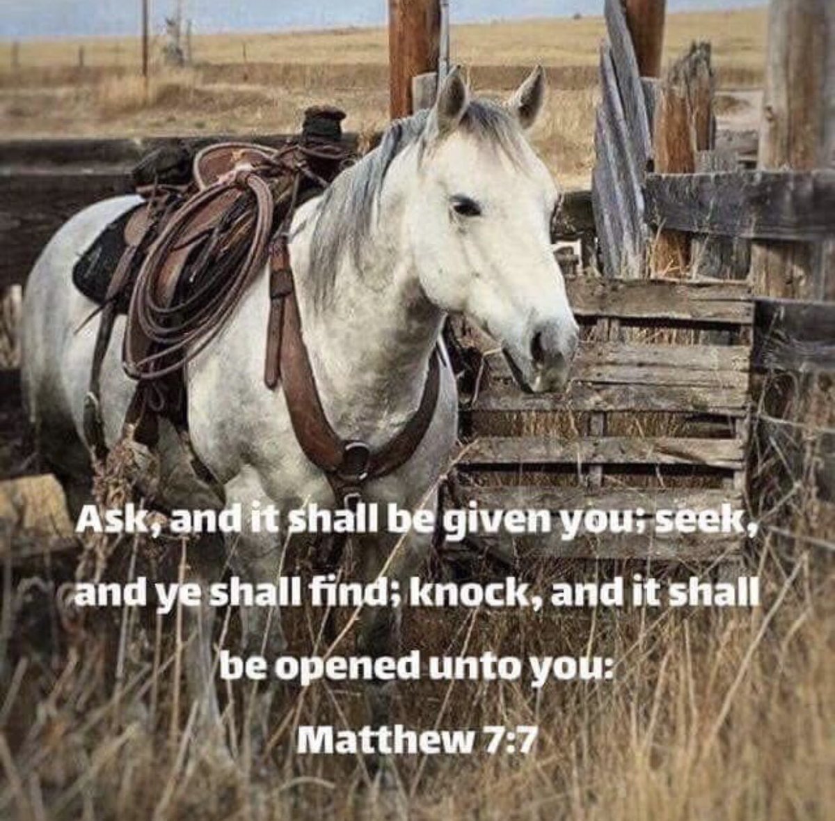 tbwatkins89's tweet photo. What a wonderful promise! Matthew 7:7 #Bible #BibleVerse #Horses #PrayingPrincipal https://t.co/qvRtv6nIoT