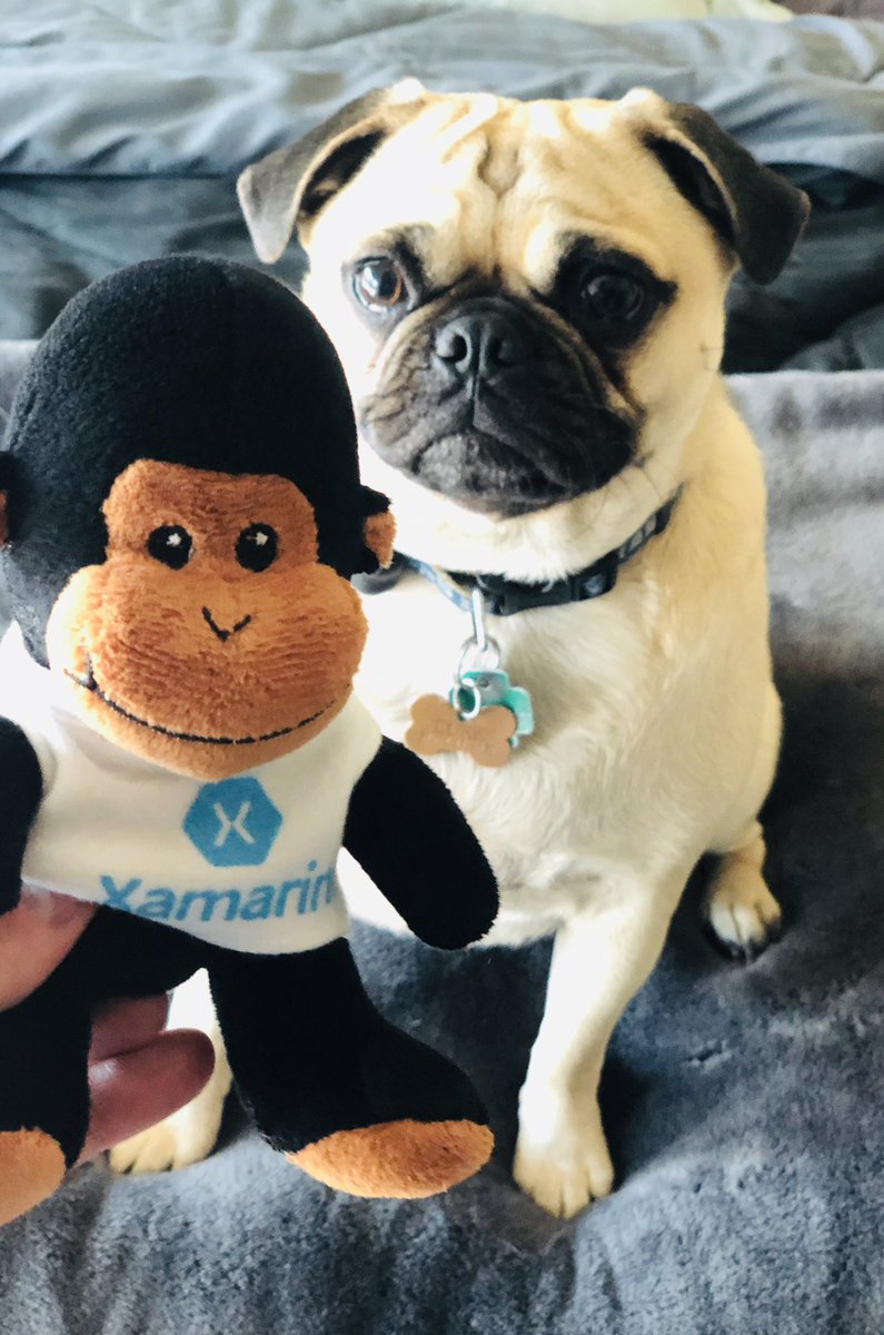 probablyrealrob's tweet photo. I think it’s safe to say they’re fans of the monkey. Thanks, #XamDevSummit #NotAChewToy https://t.co/nbwCne5q64