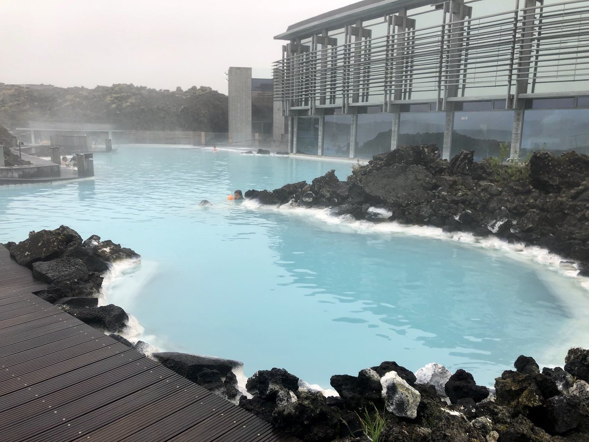 Laura Trierweiler tweet media