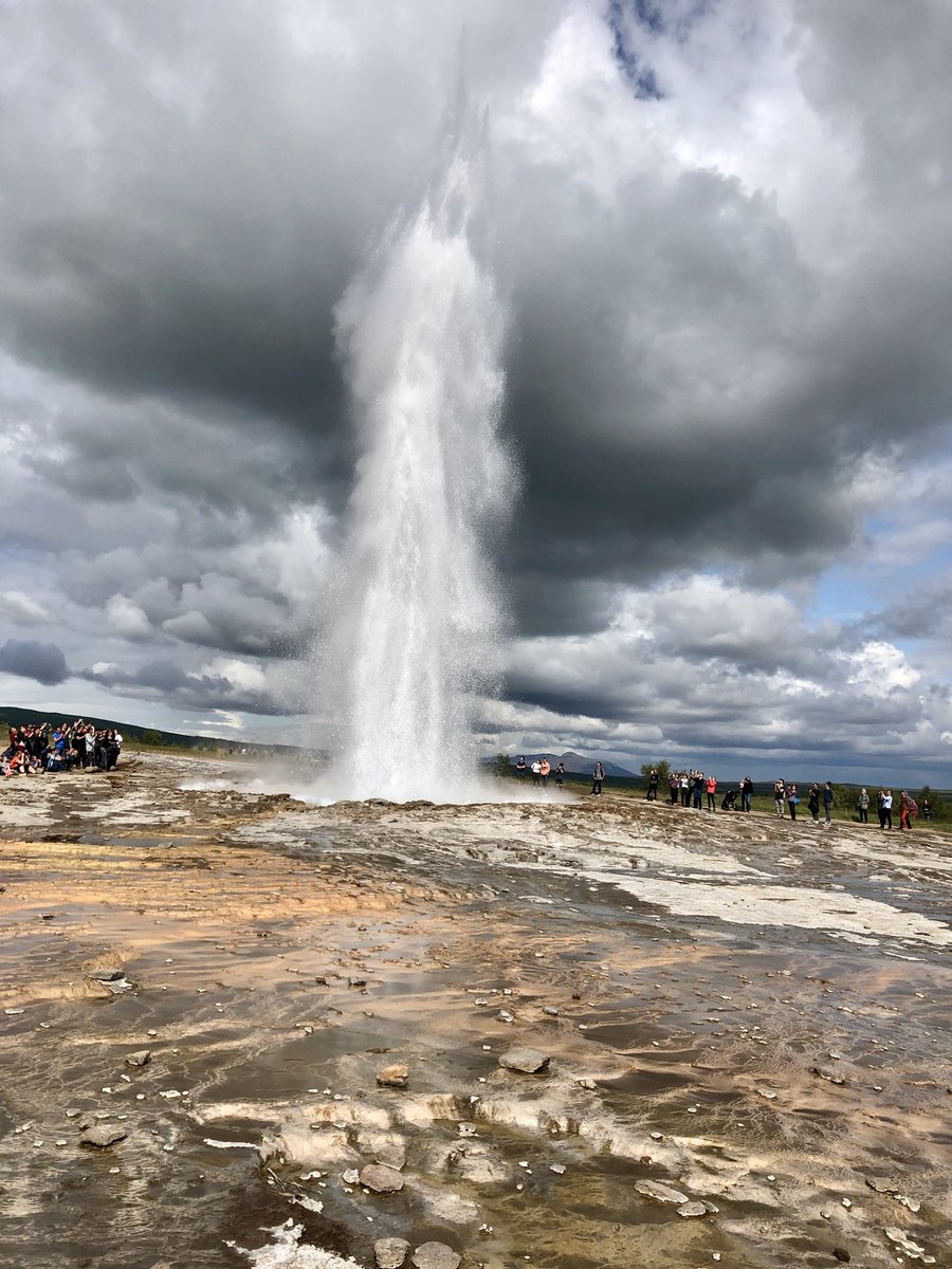 Laura Trierweiler tweet media