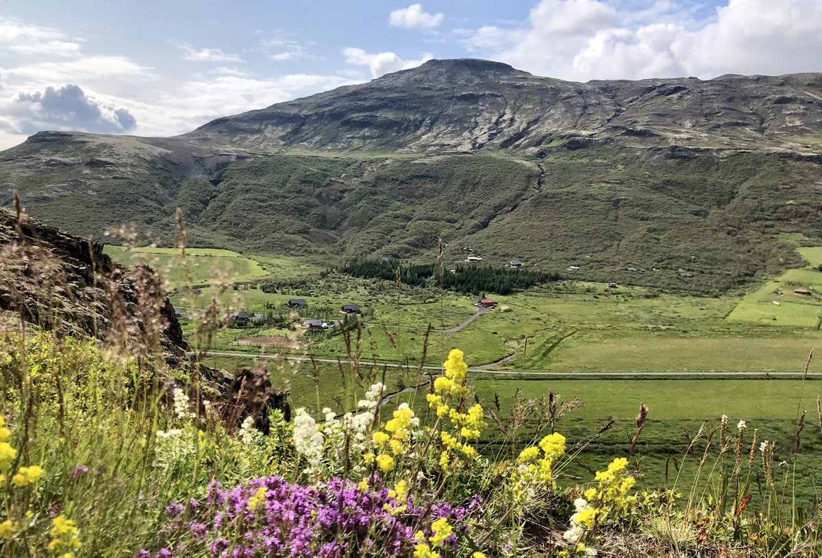 Laura Trierweiler tweet media