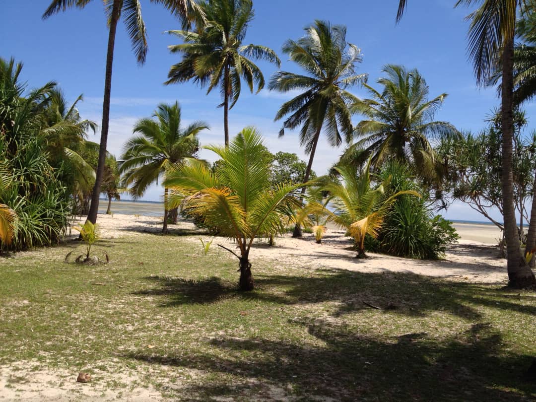 gewarealestate's tweet photo. BEACH PLOT FOR SALE
Location : Mwarongo - Just 22 km from Tanga
PRICE: Tsh. Mil. 200 {Negotiated}
Plot Size: Sqm 1,311 
 Beach plot an ideal for Apartments, House, Hotel, Camp site.
Call   +255 622 474799
Info@gewarealestate.co.tz
https://t.co/FU6nf4WtdX https://t.co/QIhL0hfBeR