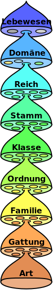 LGcommaI's tweet photo. #Biology
#System
#Systematizing
#Taxonomie:#taxonomy https://t.co/WFMzcze9Zi