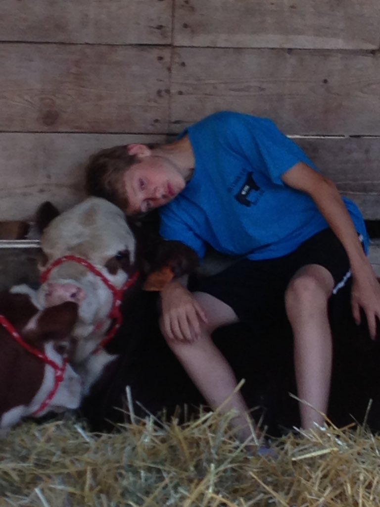 FGP Cattle tweet media