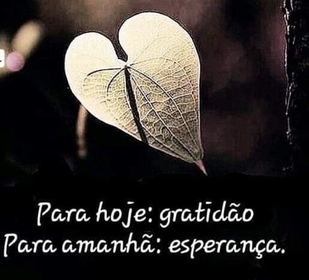 dunnysea's tweet photo. #RelatosDaProfessora Sempre 💗✌🏻🙏👇🏻 https://t.co/DGBkY0o9Cu