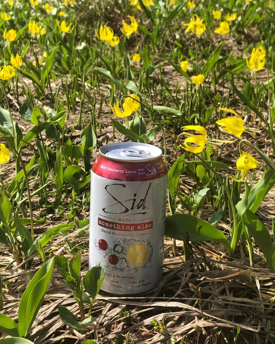 Who else plans on basking in the sun this weekend? Keep cool with #SomethingElse💦 

Tag a friend you'll be sharing a cocktail with this weekend!